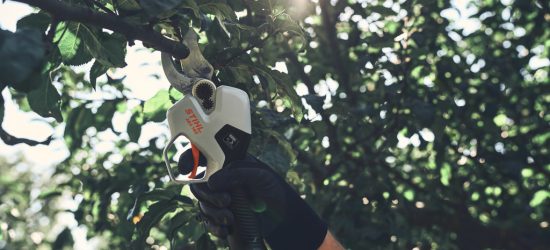 130277_ASA140-Usage-EU_HQ_P_2024-12_0002_EU - usable RoW