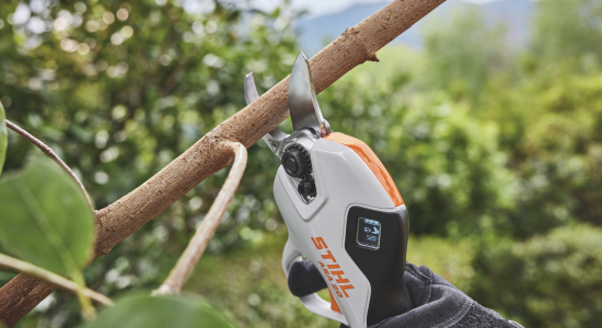 Captura de pantalla 2025-06-16 a la(s) 10.40.19 a.m.