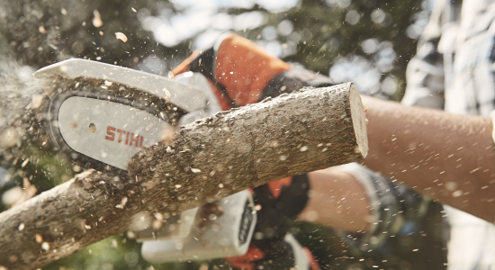 Captura de pantalla 2025-06-16 a la(s) 9.45.07 a.m.