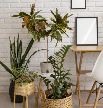 plantas-verdes-muebles-madera