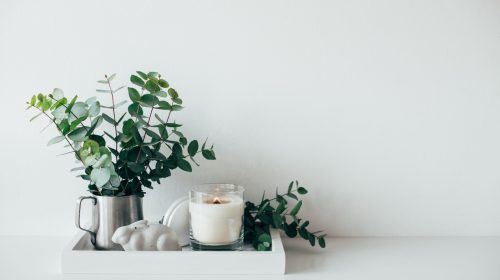 Natural,Eco,Home,Decor,With,Green,Leaves,And,Burning,Candle