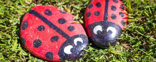 Two,Little,Homemade,Stone,Colorful,Ladybirds,Sitting,On,Grass
