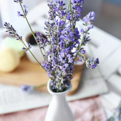 shutterstock_1468168955