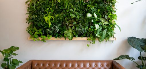 Floating,Plants,On,Wall,Over,Brown,Leather,Couch,,Vertical,Garden