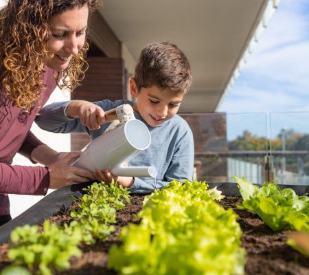 Mother,And,Son,Watering,Vegetables,In,Their,Urban,Garden