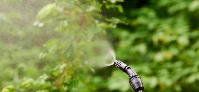 shutterstock_2164999887