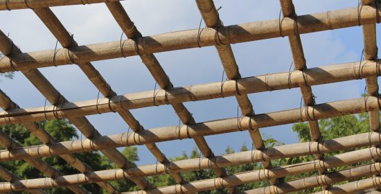 shutterstock_2426308323