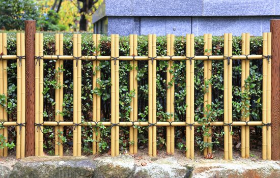 shutterstock_2440254997