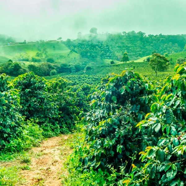 shutterstock_727223245